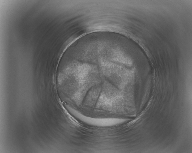 X0000075411529200610061944