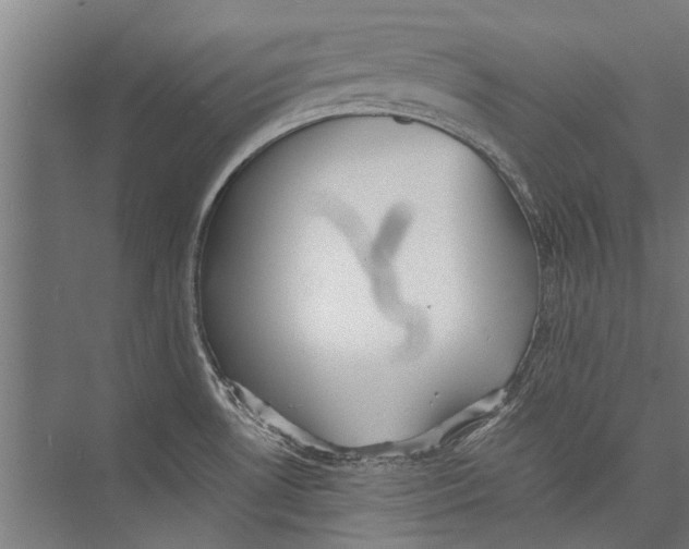 X0000075411530200610061944