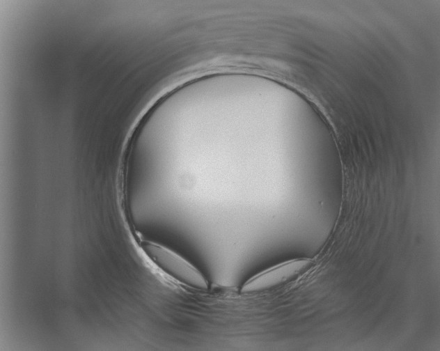 X0000075411531200610061944