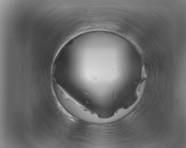 X0000075411532200610061944