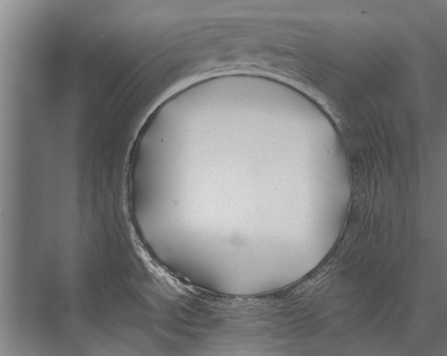 X0000075411534200610061944