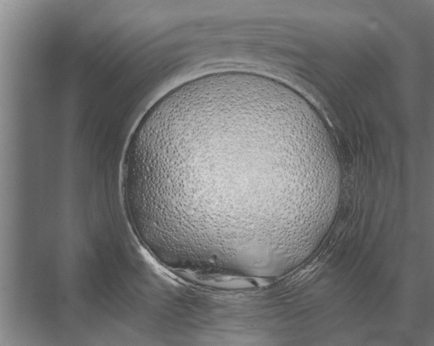 X0000075411535200610061944