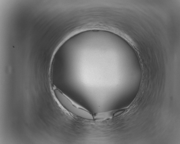 X0000075411536200610061944