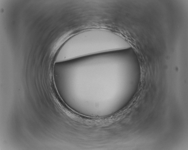 X0000075810005200609150849