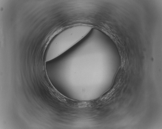 X0000075810050200609150847