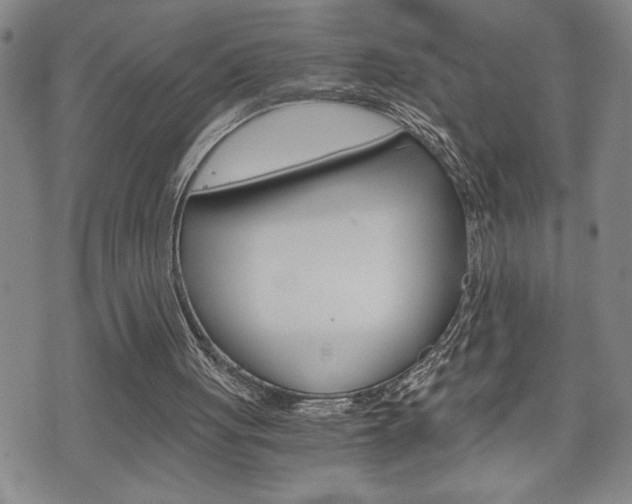 X0000075810051200609150847