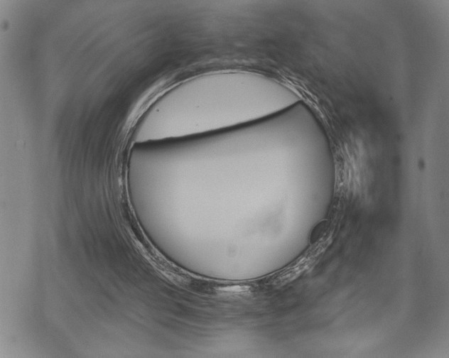X0000075810053200609150848