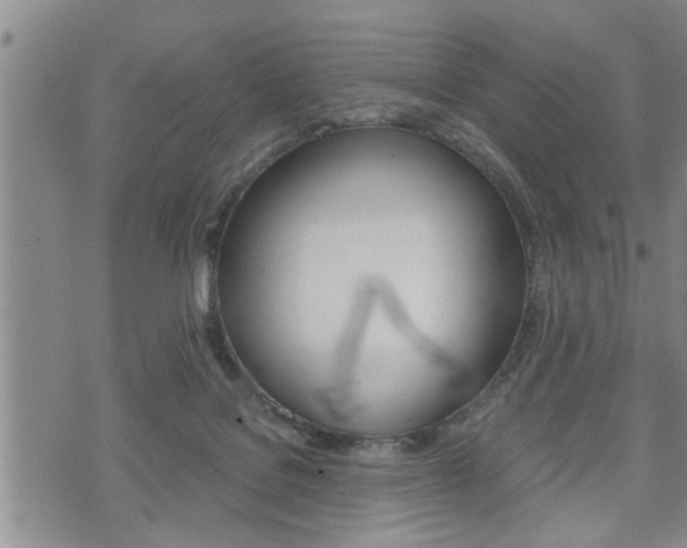 X0000075810076200609150848