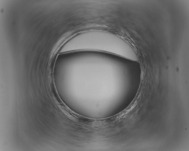 X0000075810101200609150847