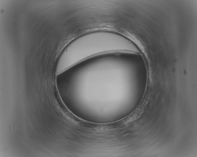 X0000075810105200609150847