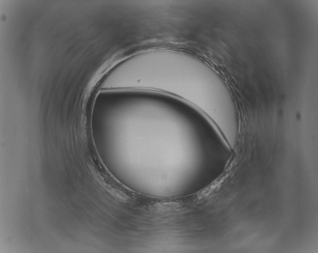 X0000075810150200609150846
