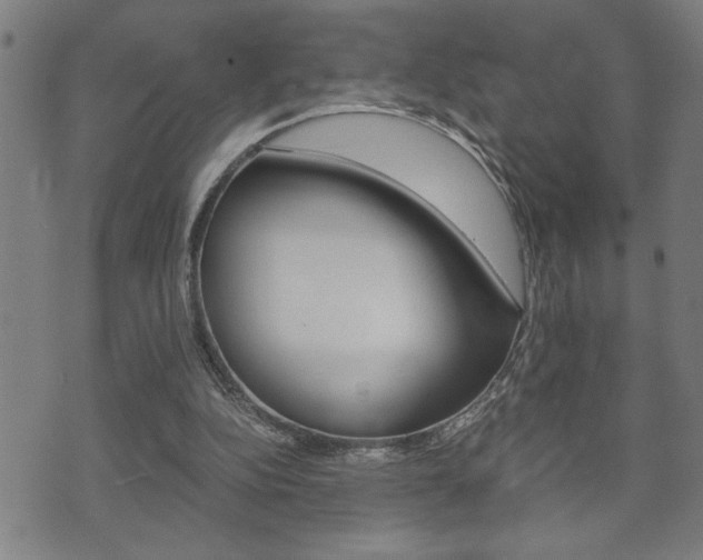 X0000075810152200609150846