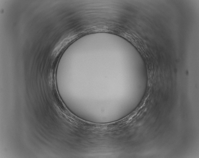 X0000075810194200609150846