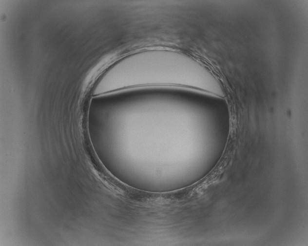 X0000075810197200609150846