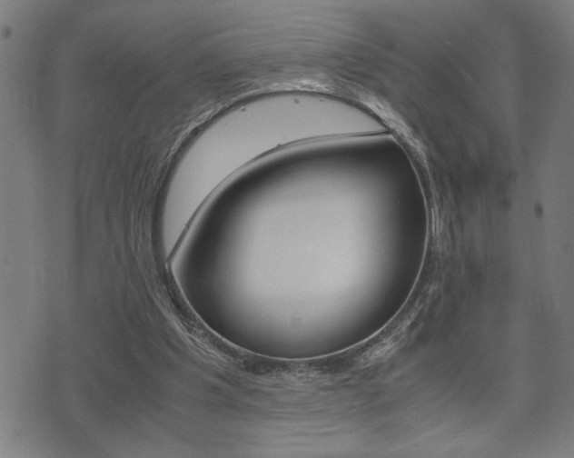 X0000075810201200609150846