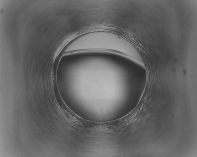 X0000075810244200609150844