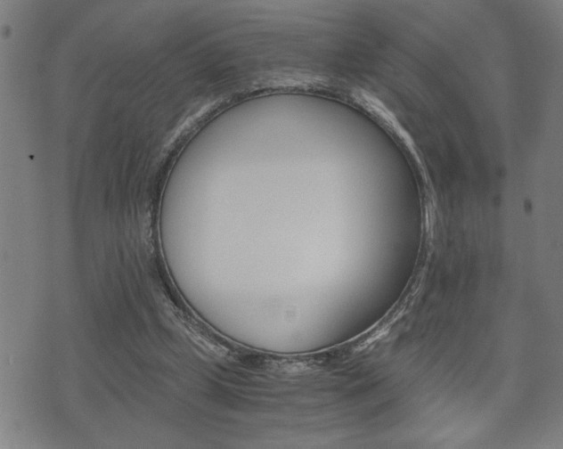 X0000075810249200609150844