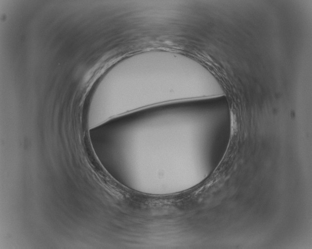 X0000075810291200609150844