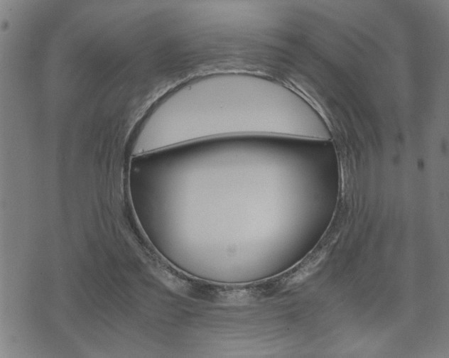 X0000075810301200609150844