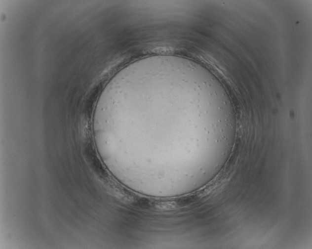 X0000075810355200609150843