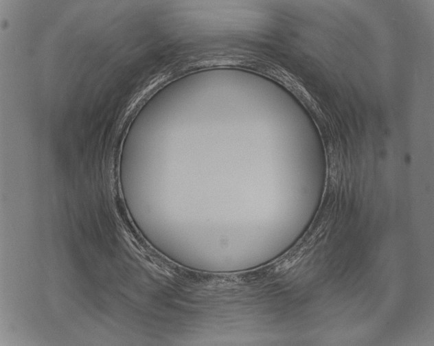 X0000075810386200609150843