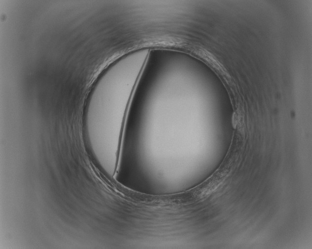 X0000075810434200609150841