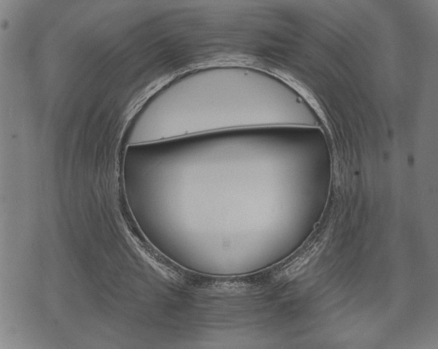 X0000075810437200609150841