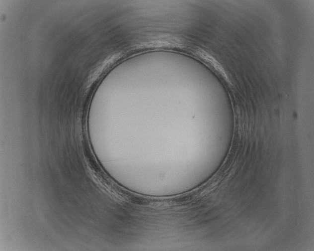 X0000075810482200609150841