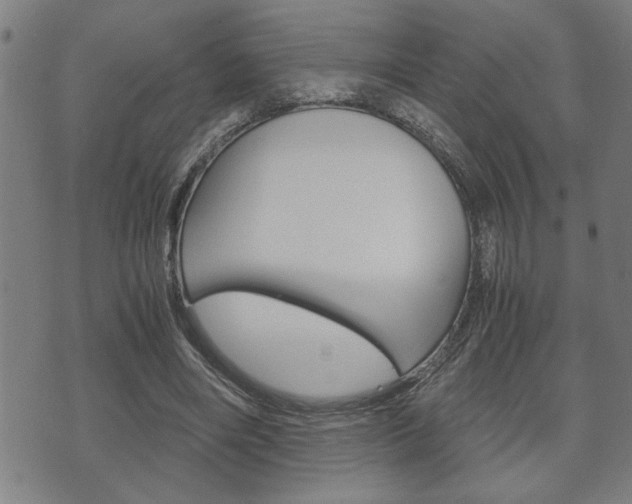 X0000075810490200609150841
