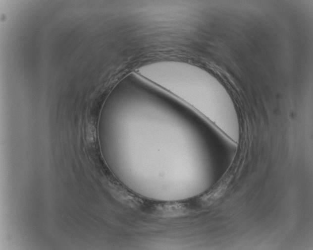 X0000075810517200609150841