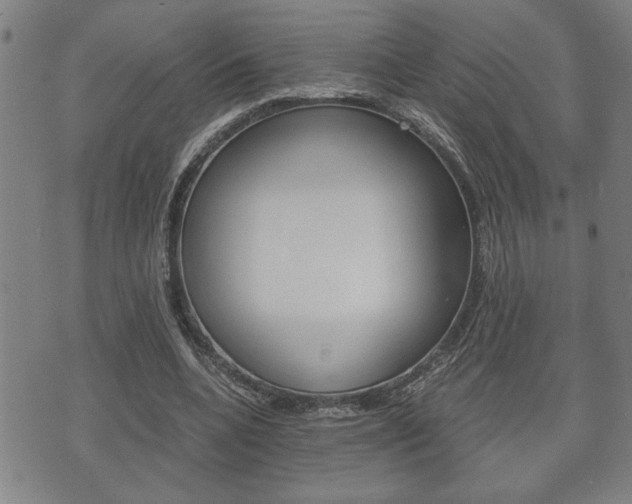 X0000075810536200609150840