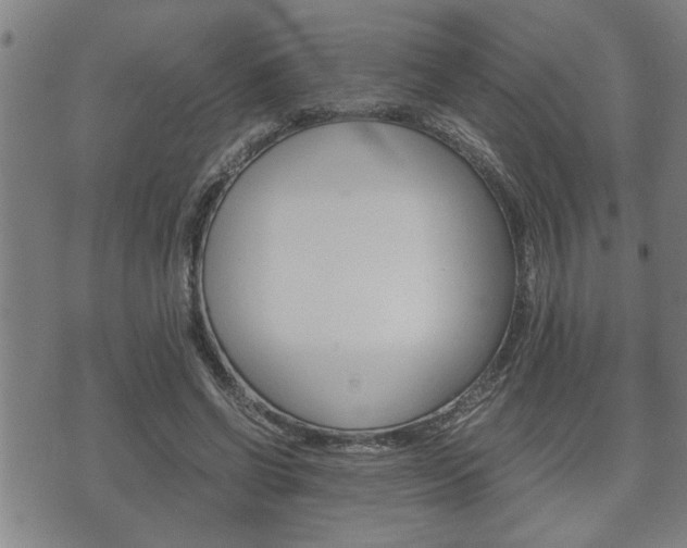 X0000075810542200609150840