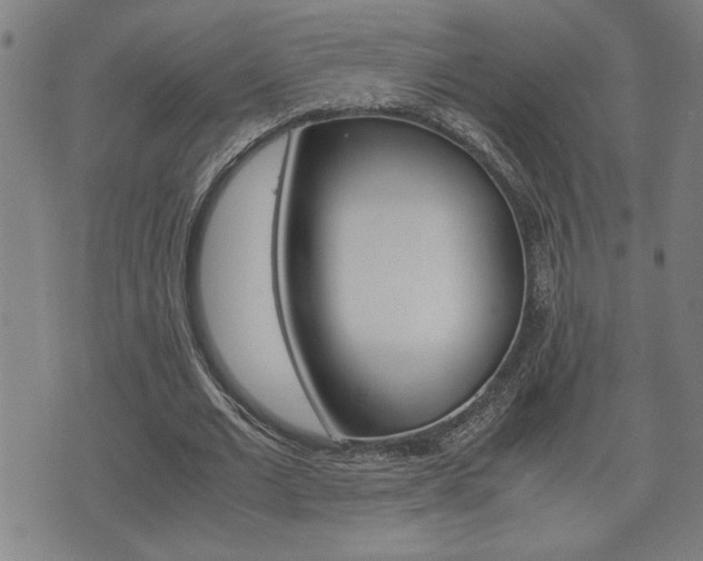 X0000075810677200609150838