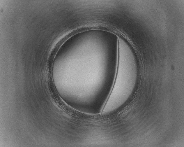 X0000075810724200609150836