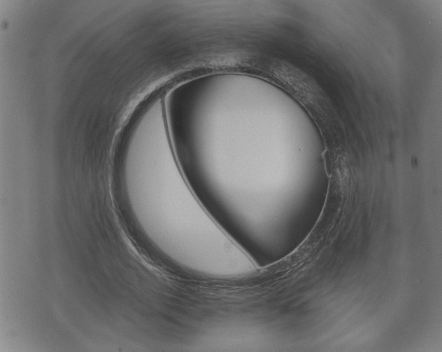 X0000075810728200609150837