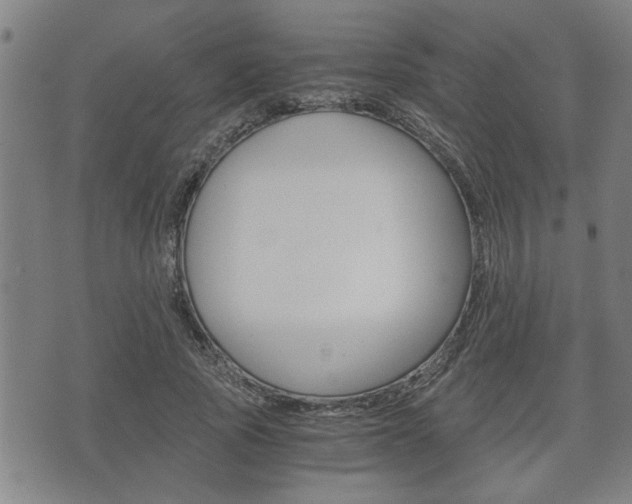 X0000075810737200609150837