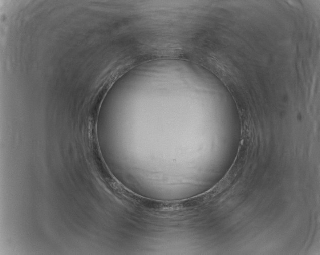 X0000075810744200609150837