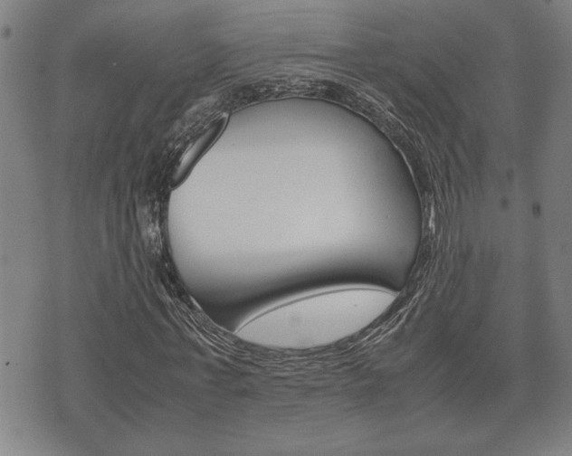 X0000075810771200609150836