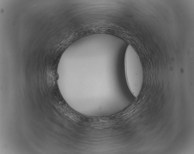 X0000075810772200609150836