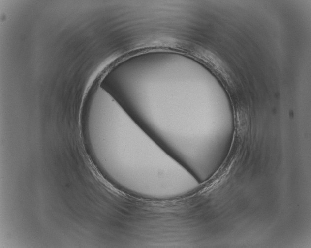 X0000075810780200609150836