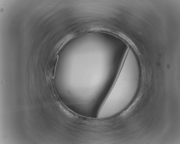 X0000075810801200609150836