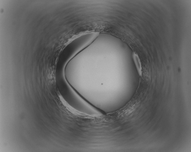 X0000075810818200609150835