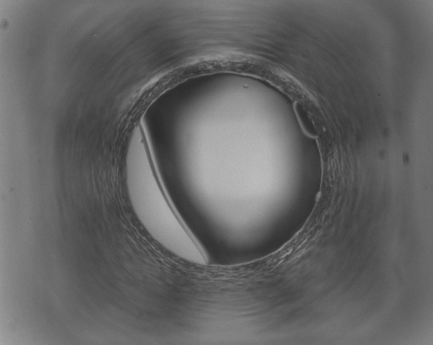 X0000075810822200609150835