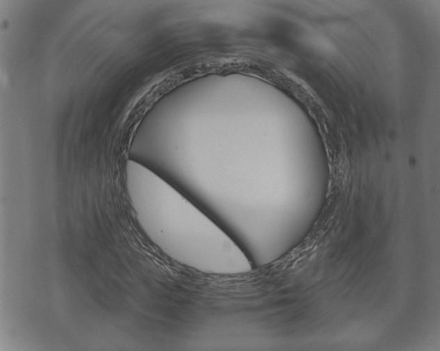 X0000075810823200609150835