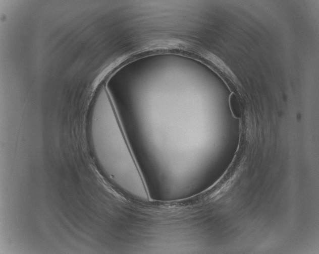 X0000075810834200609150835
