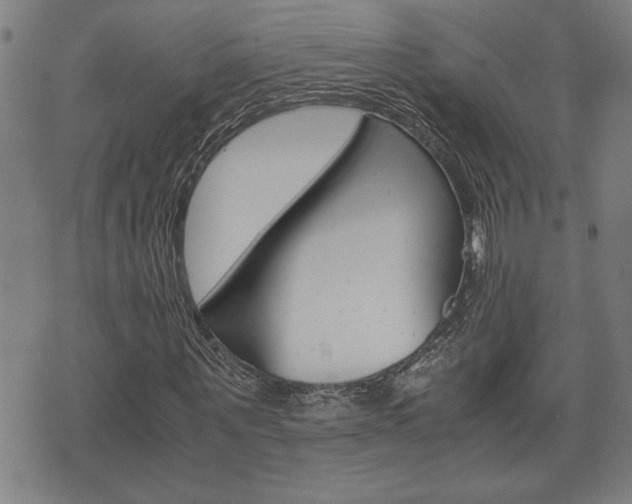 X0000075810867200609150835