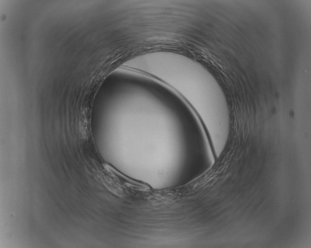 X0000075810868200609150835