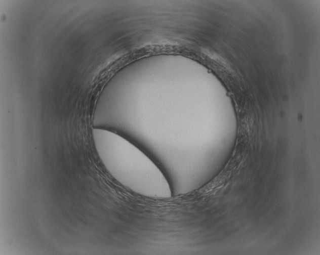 X0000075810870200609150835