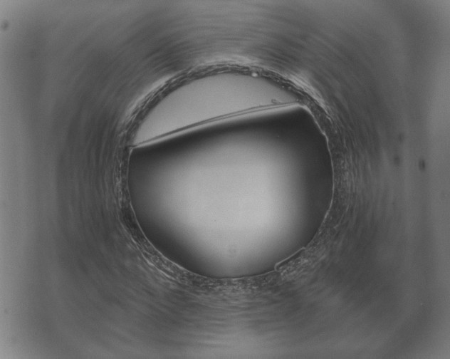 X0000075810872200609150835