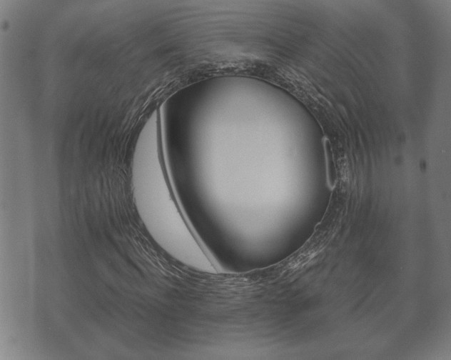X0000075810916200609150833